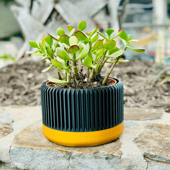 Art Deco Inspired Planter - Gold & Black - Garden Gadgets -