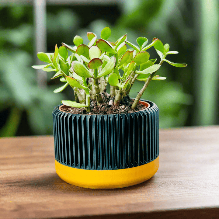 Art Deco Inspired Planter - Gold & Black - Garden Gadgets -