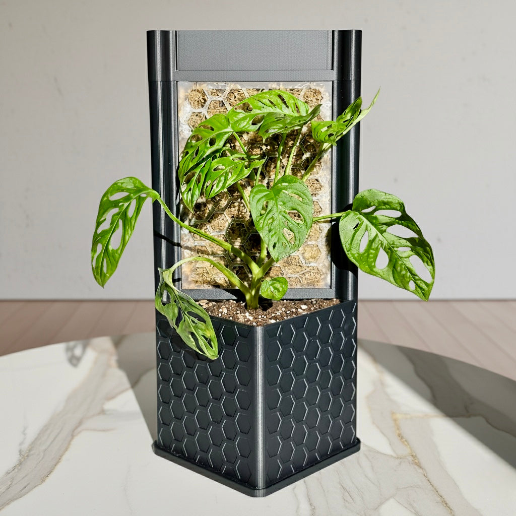 Architectural Honeycomb Moss Pole System | Modular Matte Black Aroid Support | Geometric Vertical Trellis