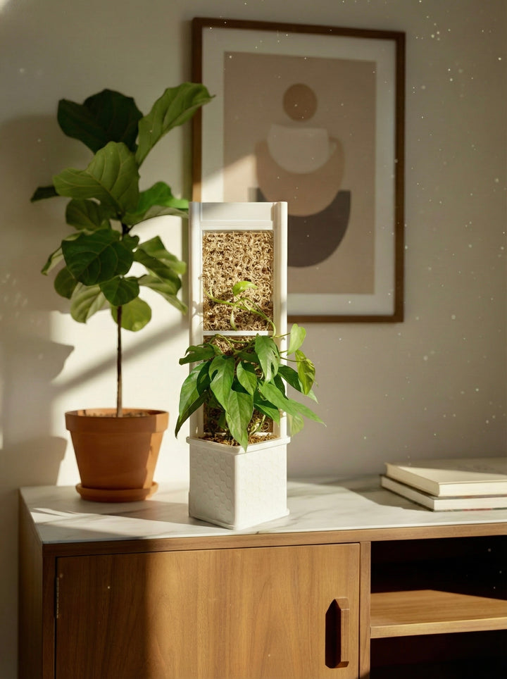 Architectural Honeycomb Moss Pole System | Modular White Aroid Support | Geometric Vertical Trellis