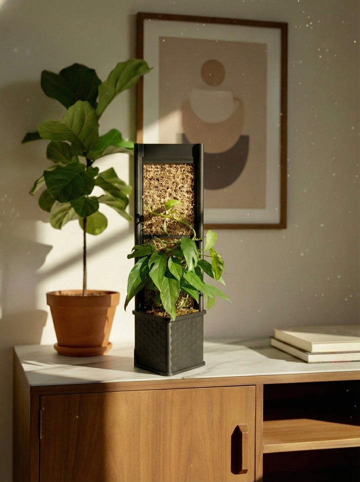 Architectural Honeycomb Moss Pole System | Modular Matte Black Aroid Support | Geometric Vertical Trellis