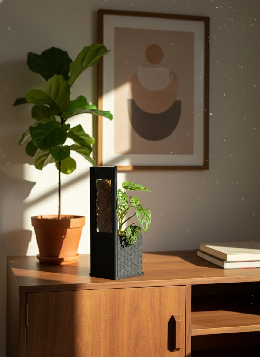 Architectural Honeycomb Moss Pole System | Modular Matte Black Aroid Support | Geometric Vertical Trellis