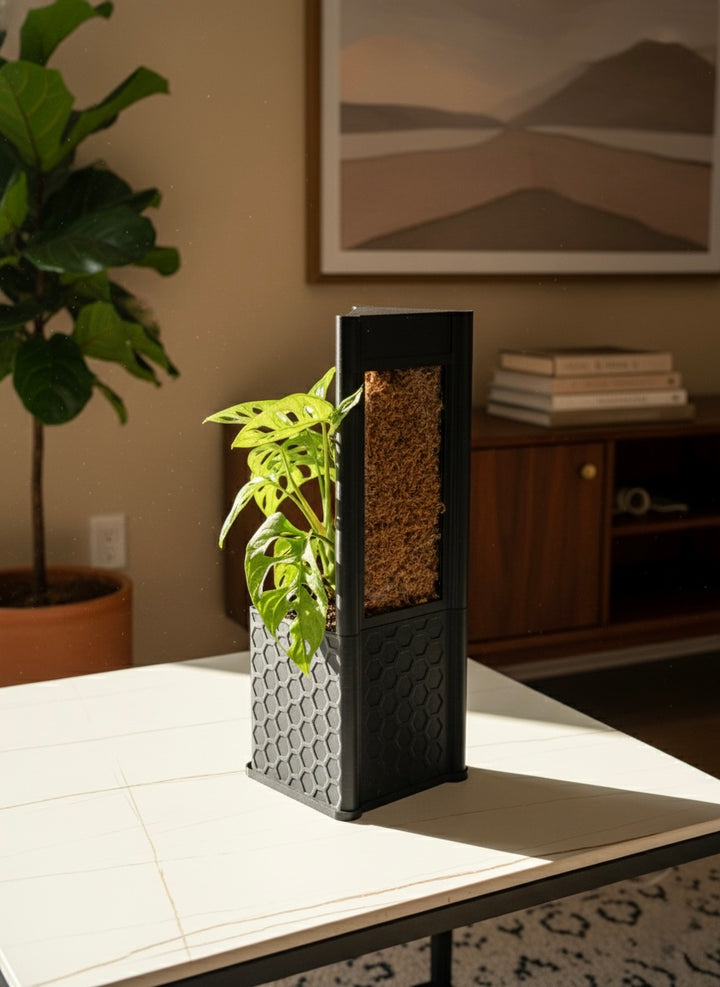 Architectural Honeycomb Moss Pole System | Modular Matte Black Aroid Support | Geometric Vertical Trellis