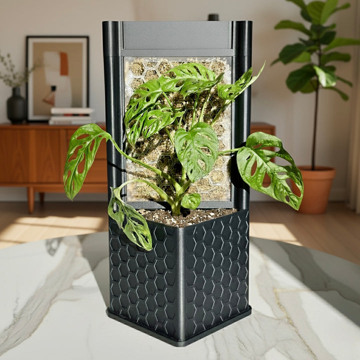 Architectural Honeycomb Moss Pole System | Modular Matte Black Aroid Support | Geometric Vertical Trellis