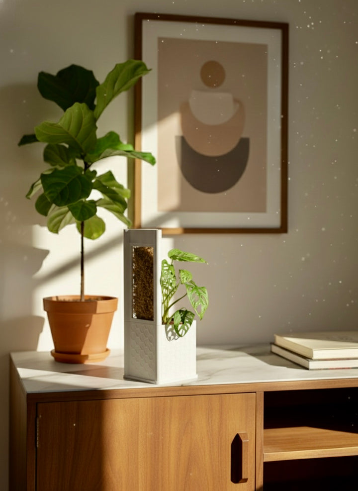 Architectural Honeycomb Moss Pole System | Modular White Aroid Support | Geometric Vertical Trellis