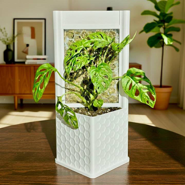 Architectural Honeycomb Moss Pole System | Modular White Aroid Support | Geometric Vertical Trellis