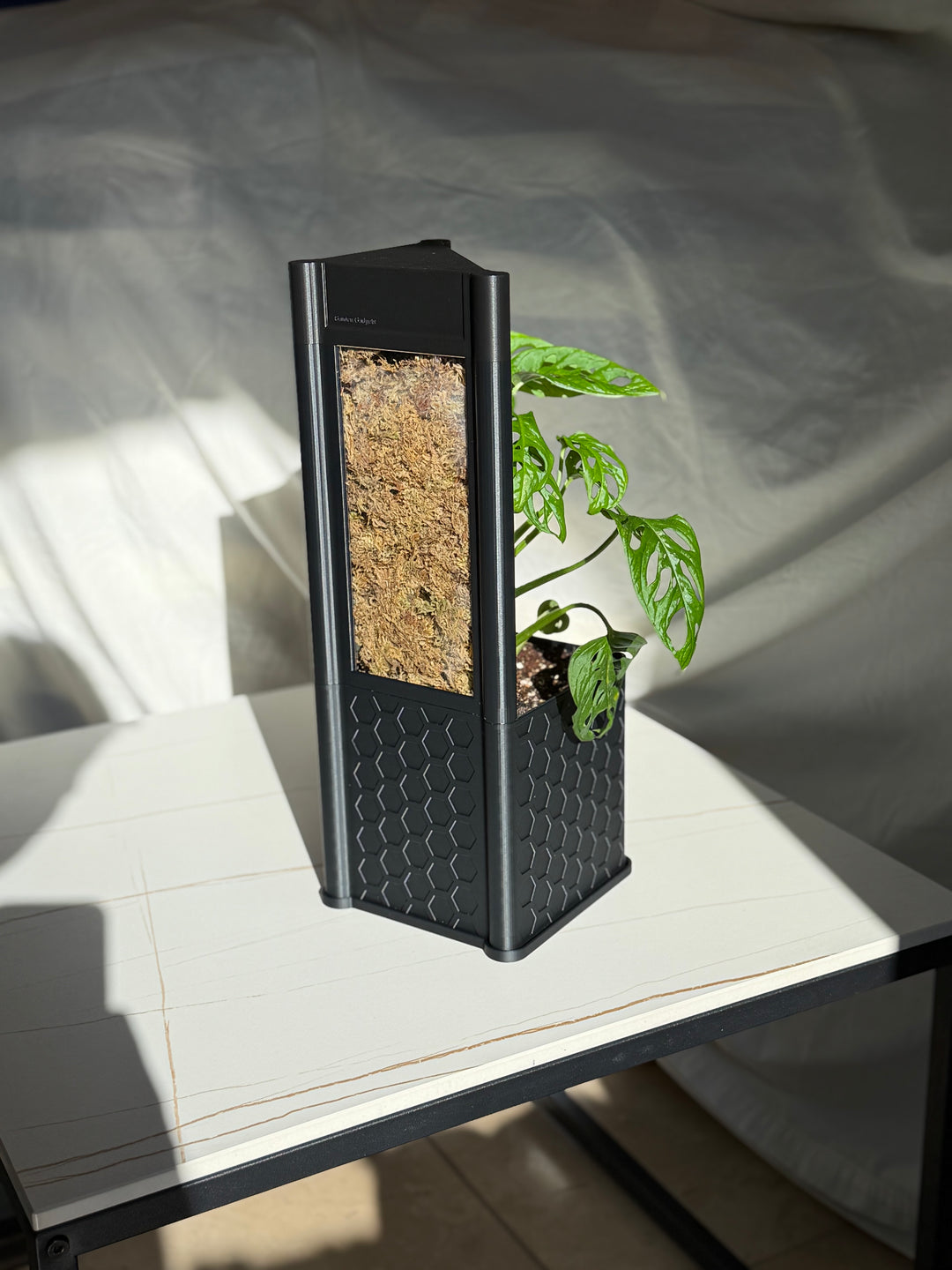 Architectural Honeycomb Moss Pole System | Modular Matte Black Aroid Support | Geometric Vertical Trellis