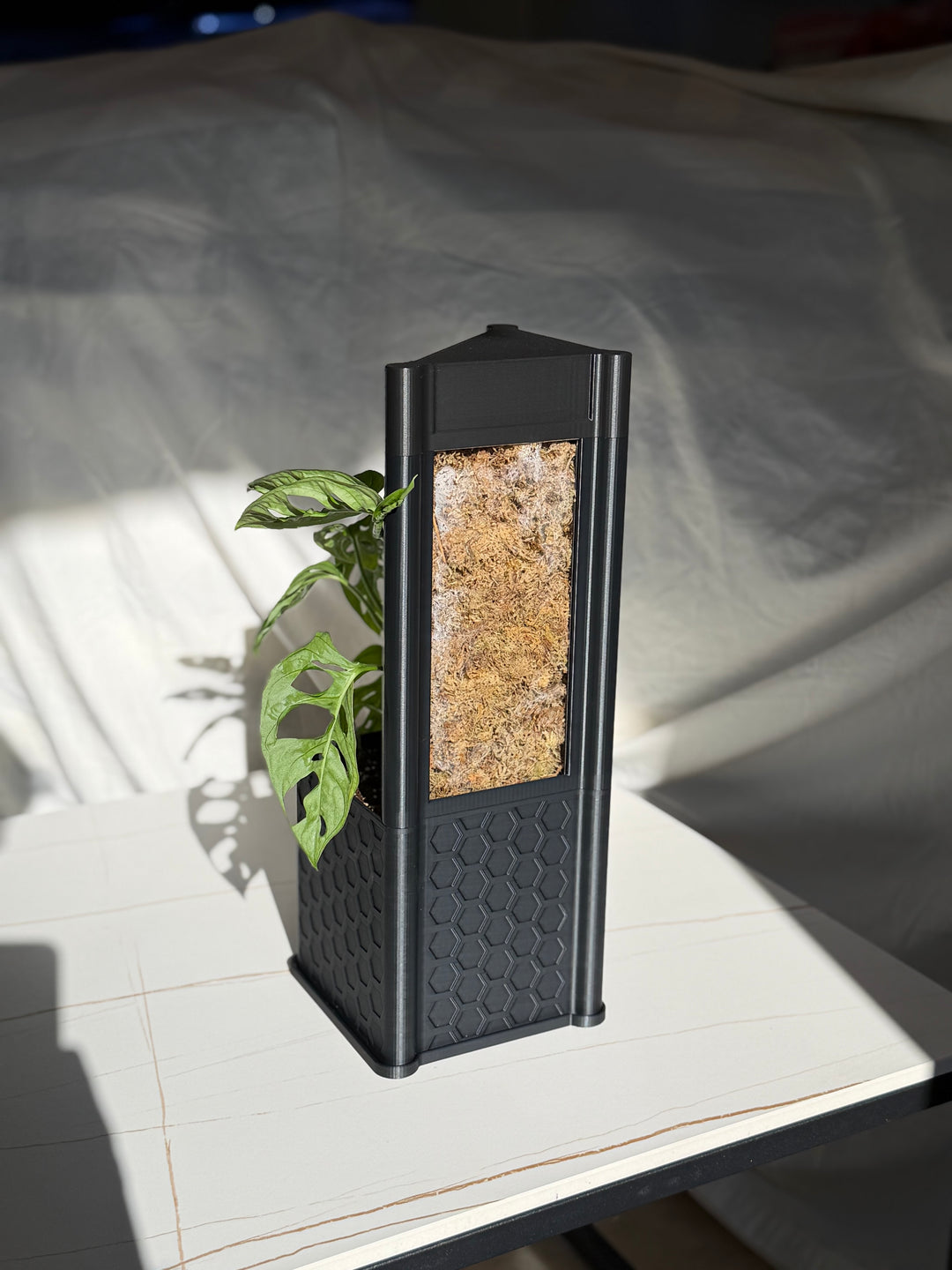 Architectural Honeycomb Moss Pole System | Modular Matte Black Aroid Support | Geometric Vertical Trellis