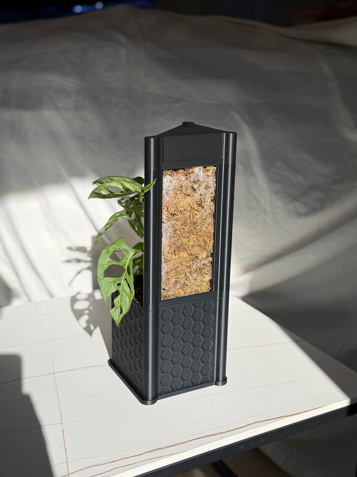 Architectural Honeycomb Moss Pole System | Modular Matte Black Aroid Support | Geometric Vertical Trellis