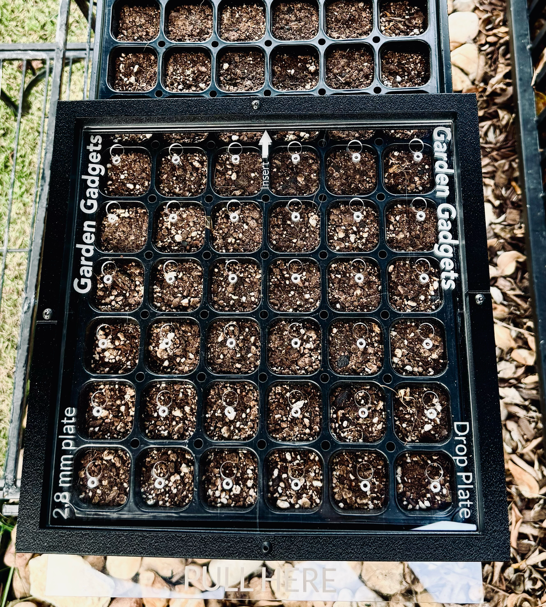 Drop Seeder - Half‑1020 Tray 72-cell