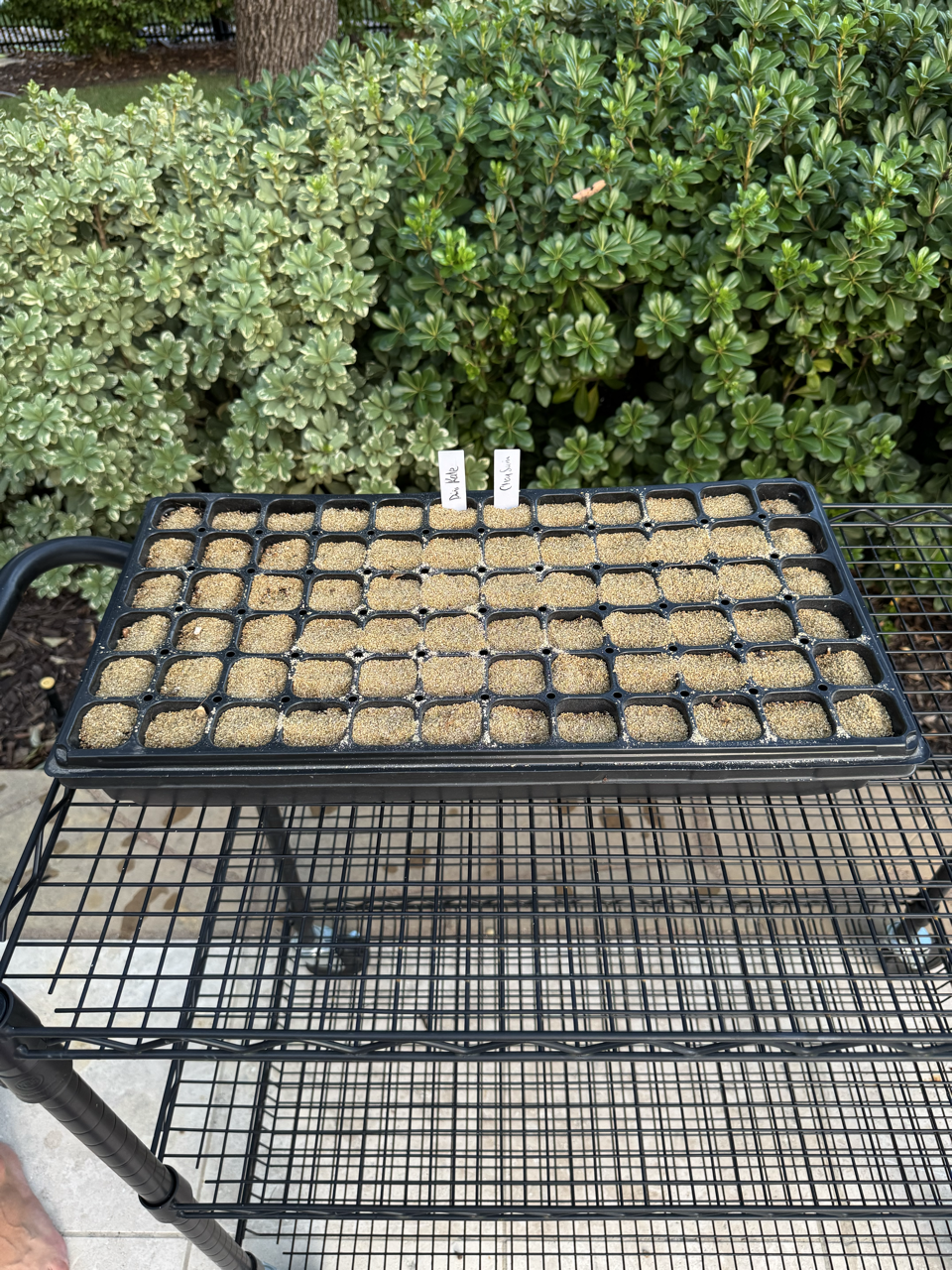 Drop Seeder - Half‑1020 Tray 72-cell