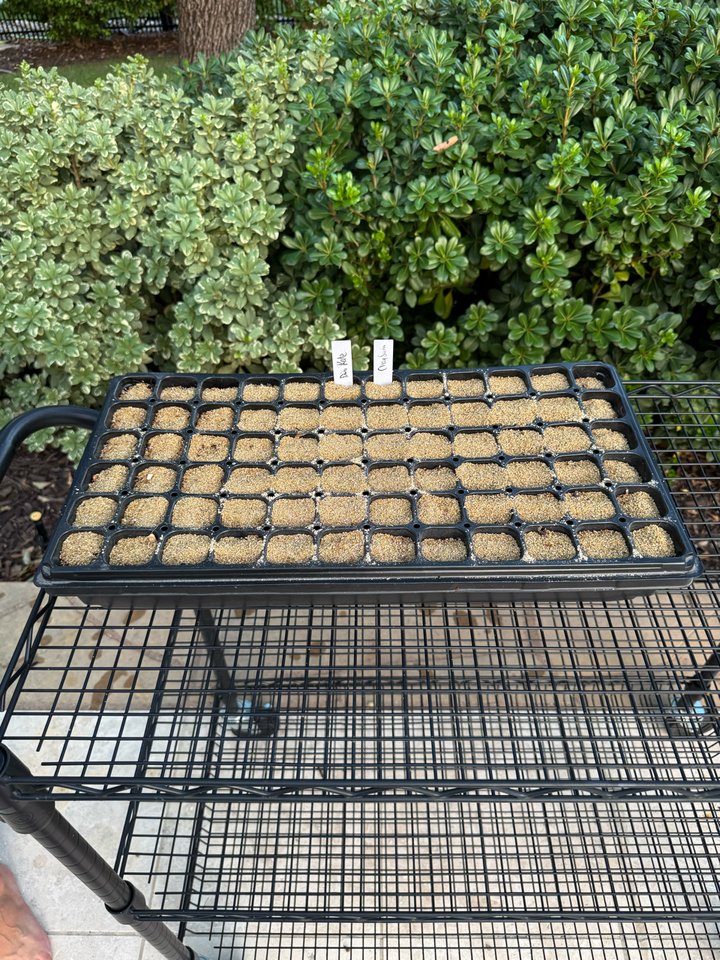Drop Seeder - Half‑1020 Tray 72-cell
