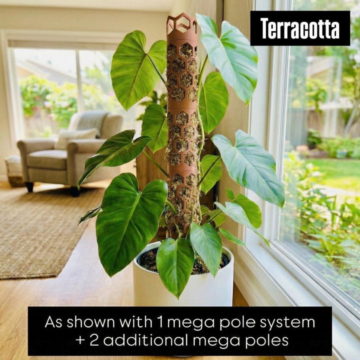 Mega Moss Pole System - Modular & Eco-Friendly - Expandable Plant Support for Thriving Indoor Gardens