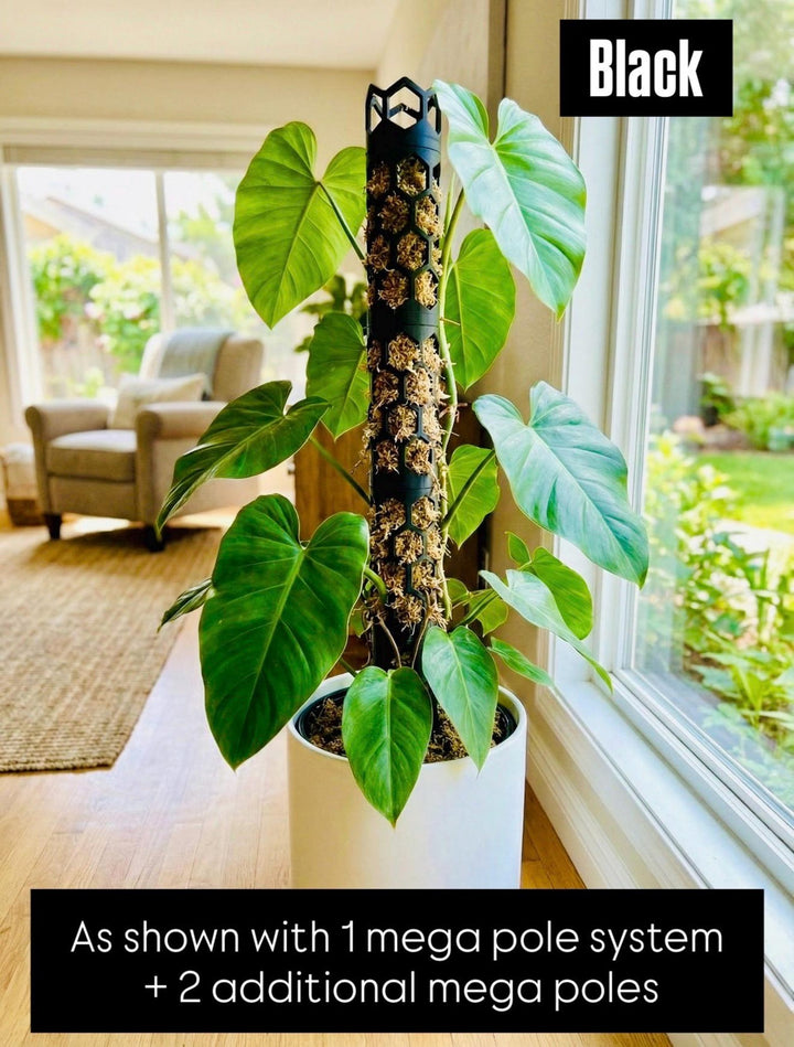 Mega Moss Pole System - Modular & Eco-Friendly - Expandable Plant Support for Thriving Indoor Gardens