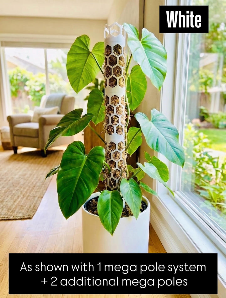 Mega Moss Pole System - Modular & Eco-Friendly - Expandable Plant Support for Thriving Indoor Gardens