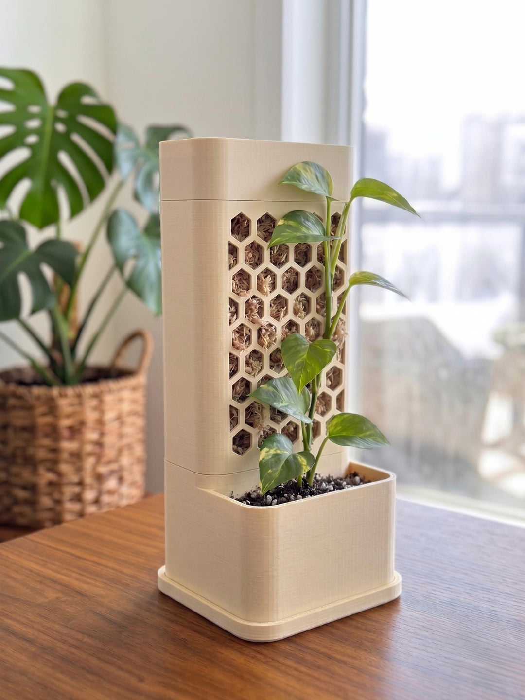 Self-Watering Moss Pole Planter | Honeycomb Aroid Trellis Tower | Modular Pothos & Monstera Support | Architectural Vertical Garden