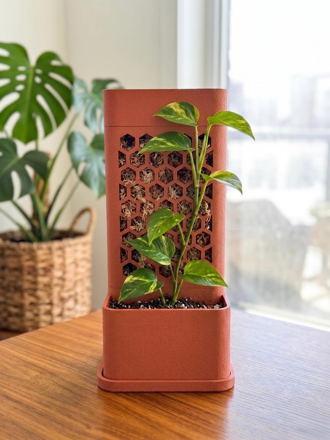 Self-Watering Moss Pole Planter | Honeycomb Aroid Trellis Tower | Modular Pothos & Monstera Support | Architectural Vertical Garden