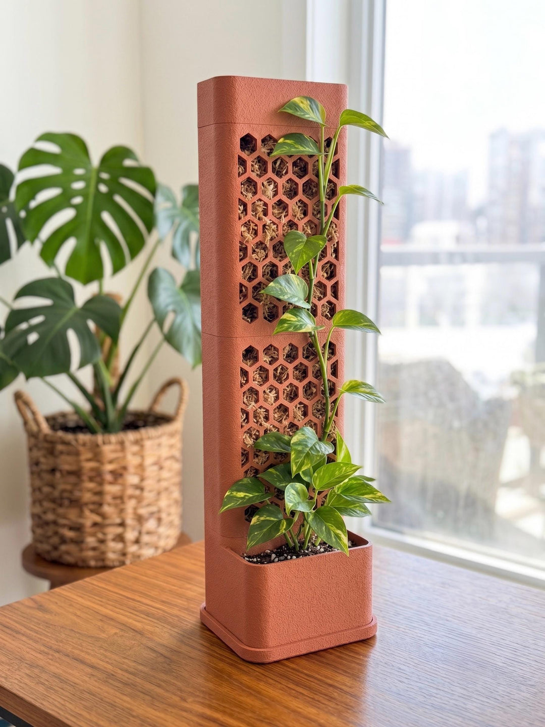 Self-Watering Moss Pole Planter | Honeycomb Aroid Trellis Tower | Modular Pothos & Monstera Support | Architectural Vertical Garden