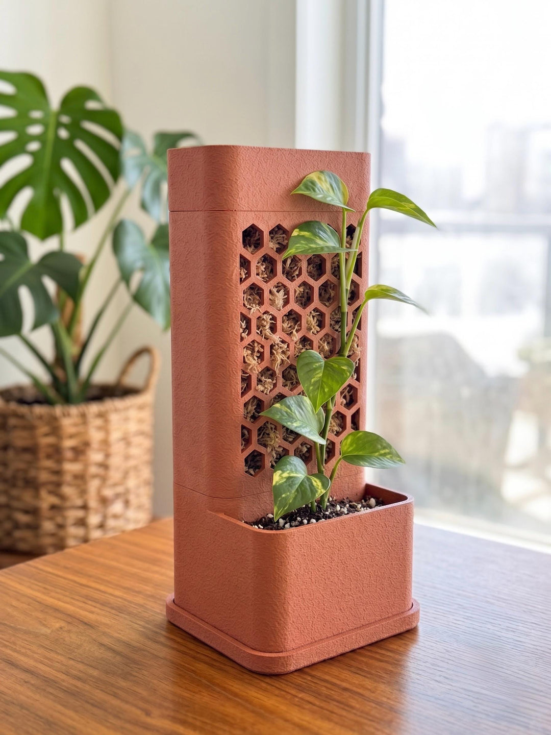 Self-Watering Moss Pole Planter | Honeycomb Aroid Trellis Tower | Modular Pothos & Monstera Support | Architectural Vertical Garden