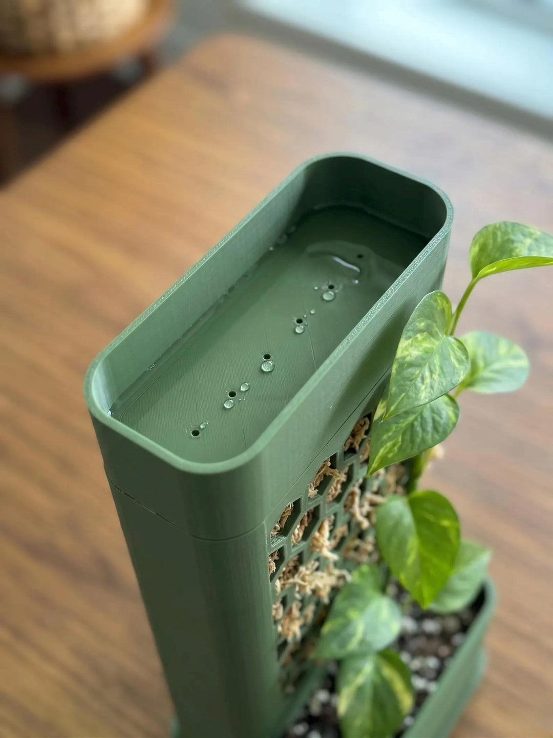 Self-Watering Moss Pole Planter | Honeycomb Aroid Trellis Tower | Modular Pothos & Monstera Support | Architectural Vertical Garden