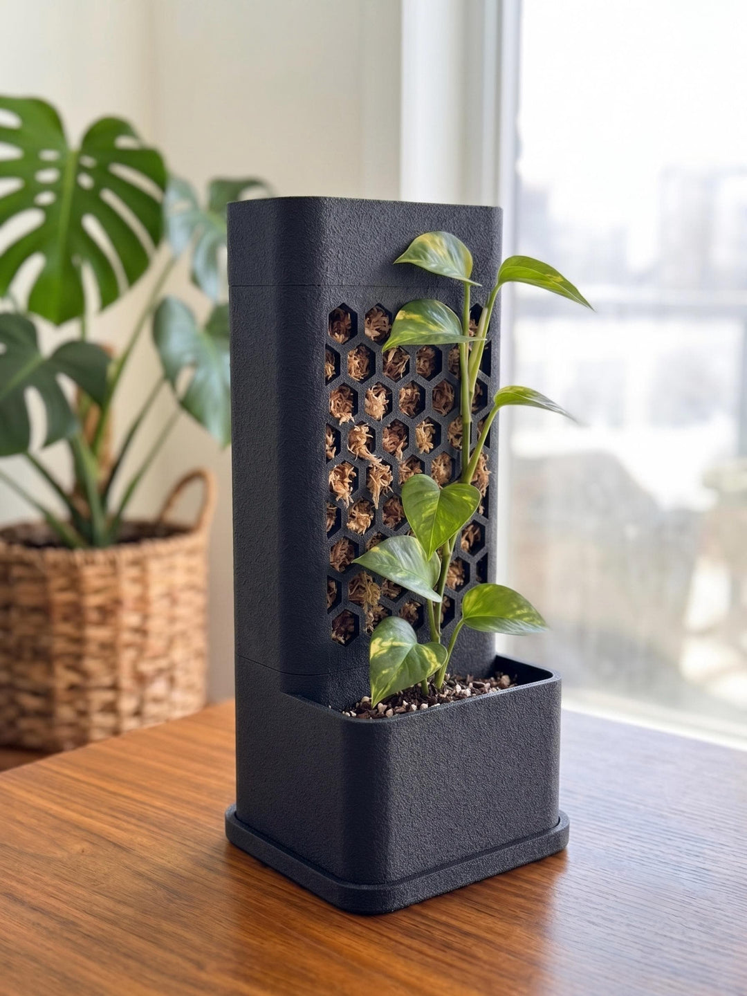 Self-Watering Moss Pole Planter | Honeycomb Aroid Trellis Tower | Modular Pothos & Monstera Support | Architectural Vertical Garden