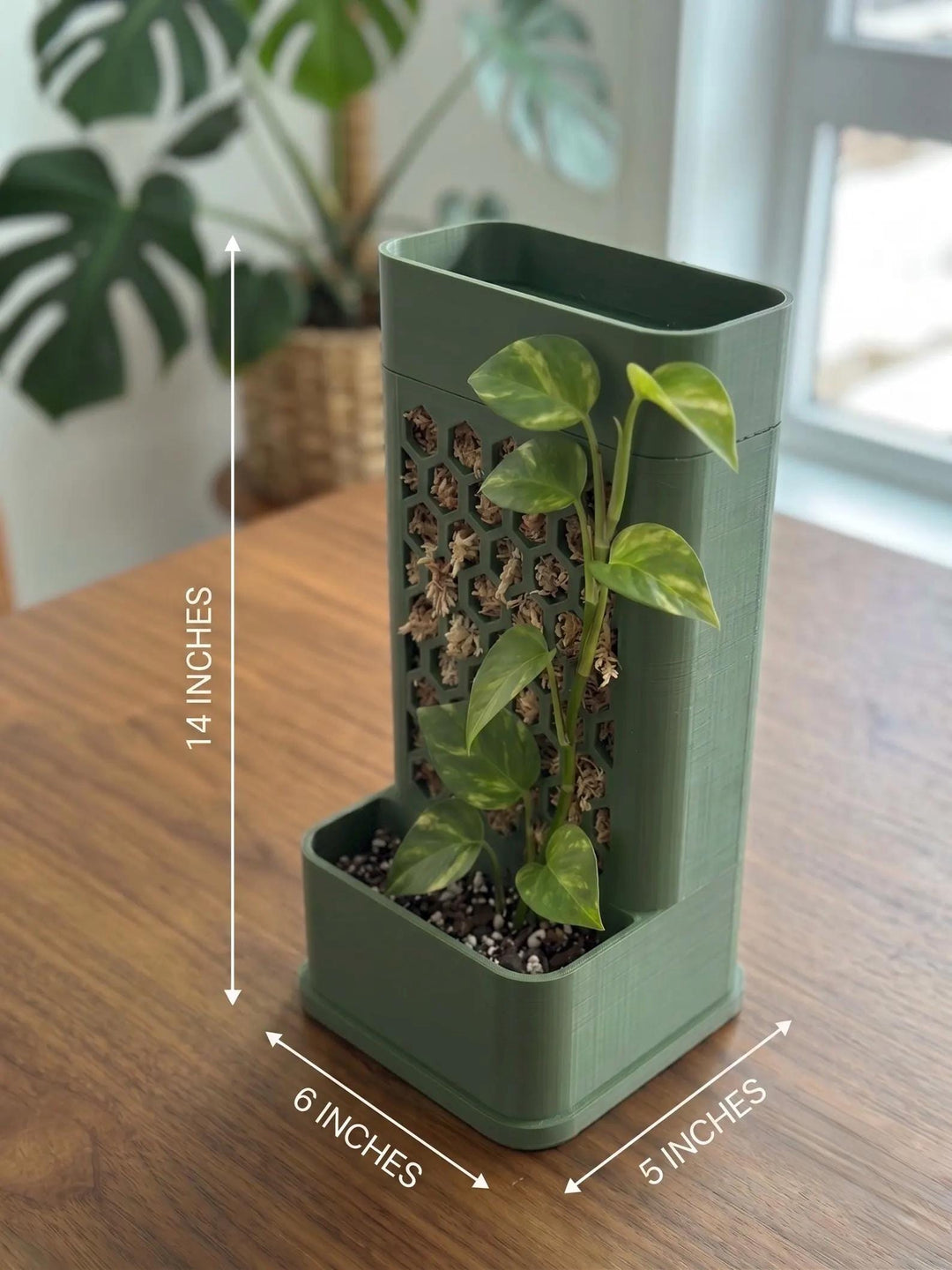 Self-Watering Moss Pole Planter | Honeycomb Aroid Trellis Tower | Modular Pothos & Monstera Support | Architectural Vertical Garden