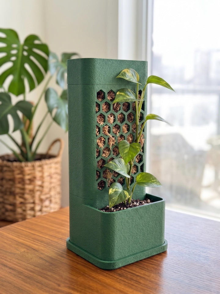 Self-Watering Moss Pole Planter | Honeycomb Aroid Trellis Tower | Modular Pothos & Monstera Support | Architectural Vertical Garden