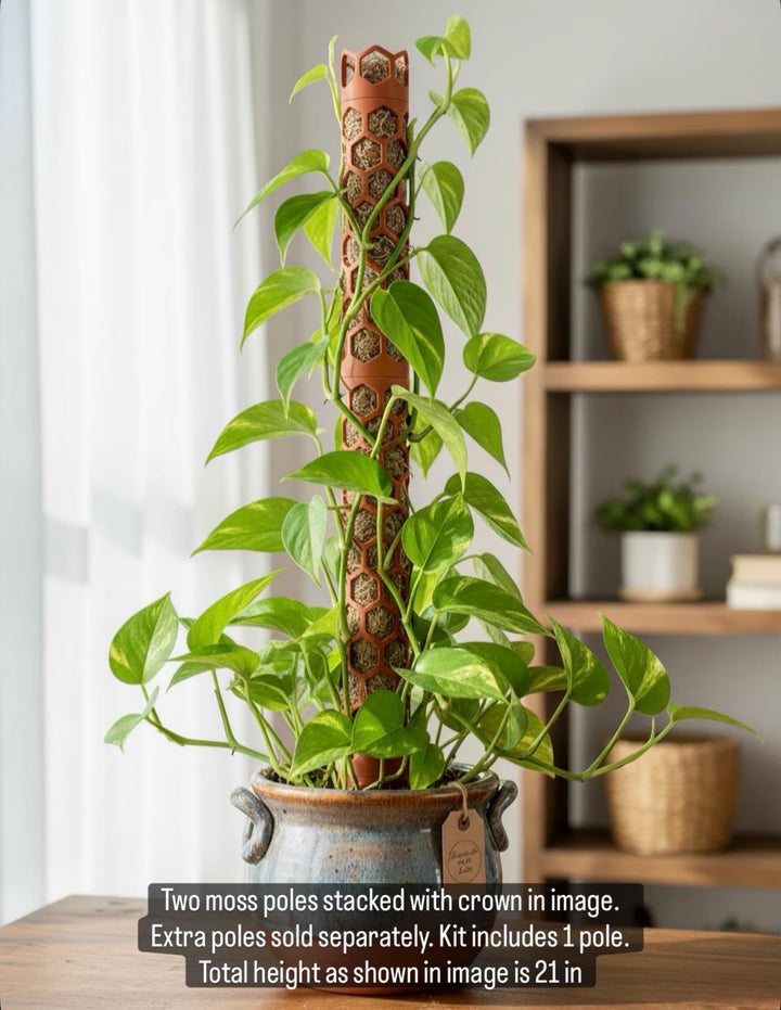 Large Moss Pole System - Modular & Eco-Friendly - Expandable Plant Support for Thriving Indoor Gardens