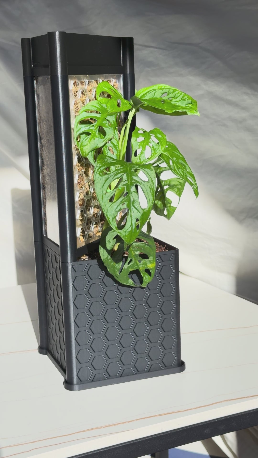 Architectural Honeycomb Moss Pole System | Modular Matte Black Aroid Support | Geometric Vertical Trellis