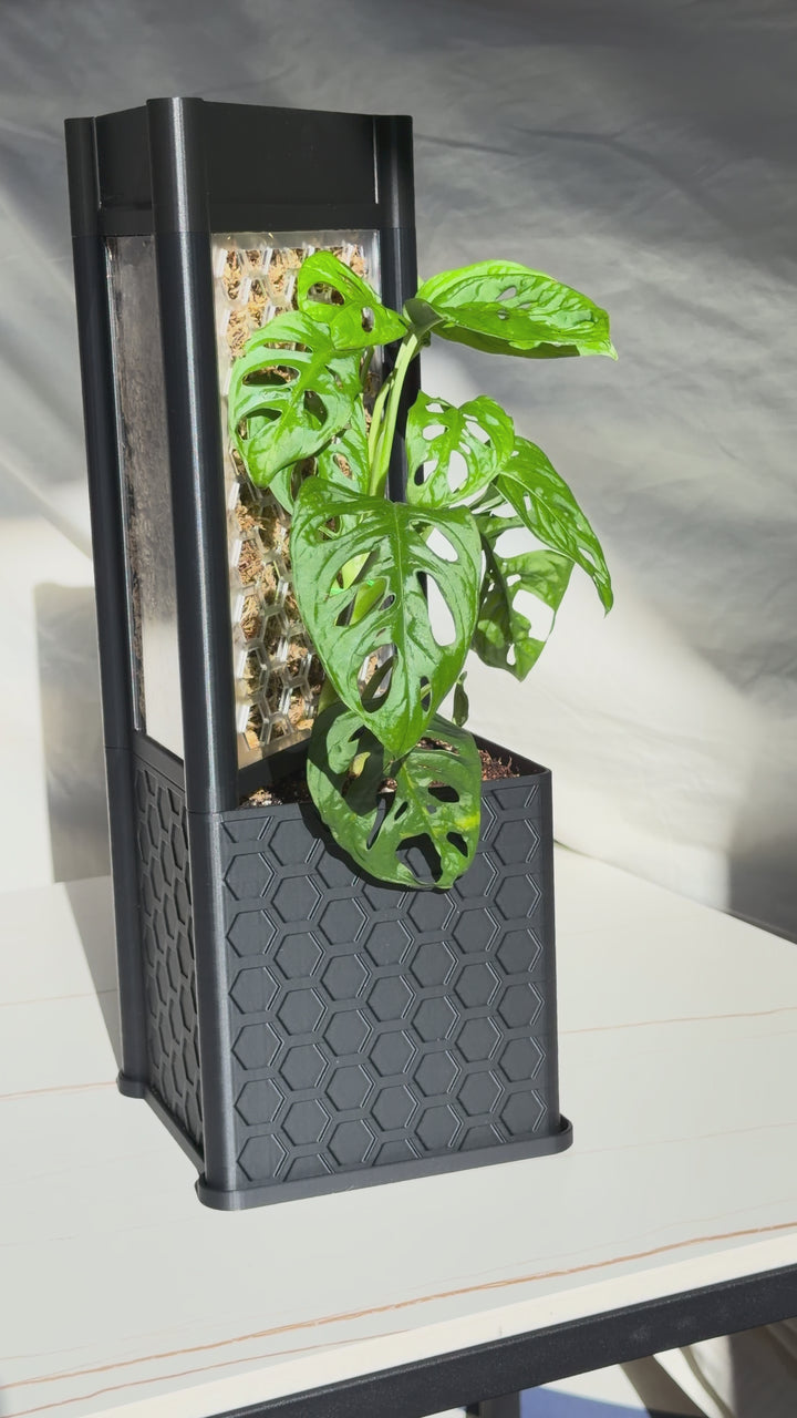 Architectural Honeycomb Moss Pole System | Modular Matte Black Aroid Support | Geometric Vertical Trellis
