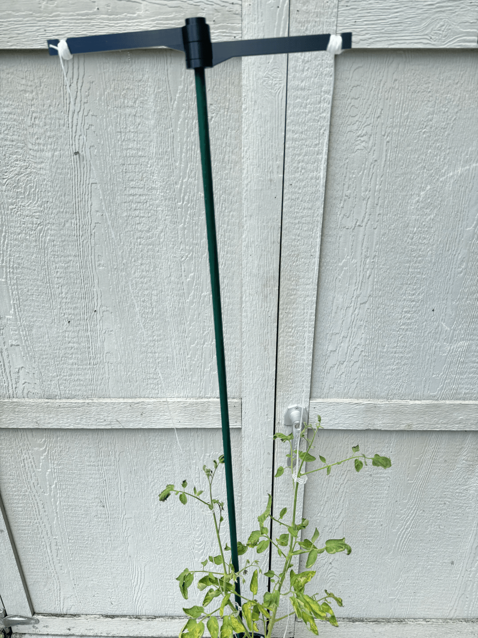 String Trainer - Maximize Your Vegetable Garden's Potential - Garden Gadgets - String Trainer